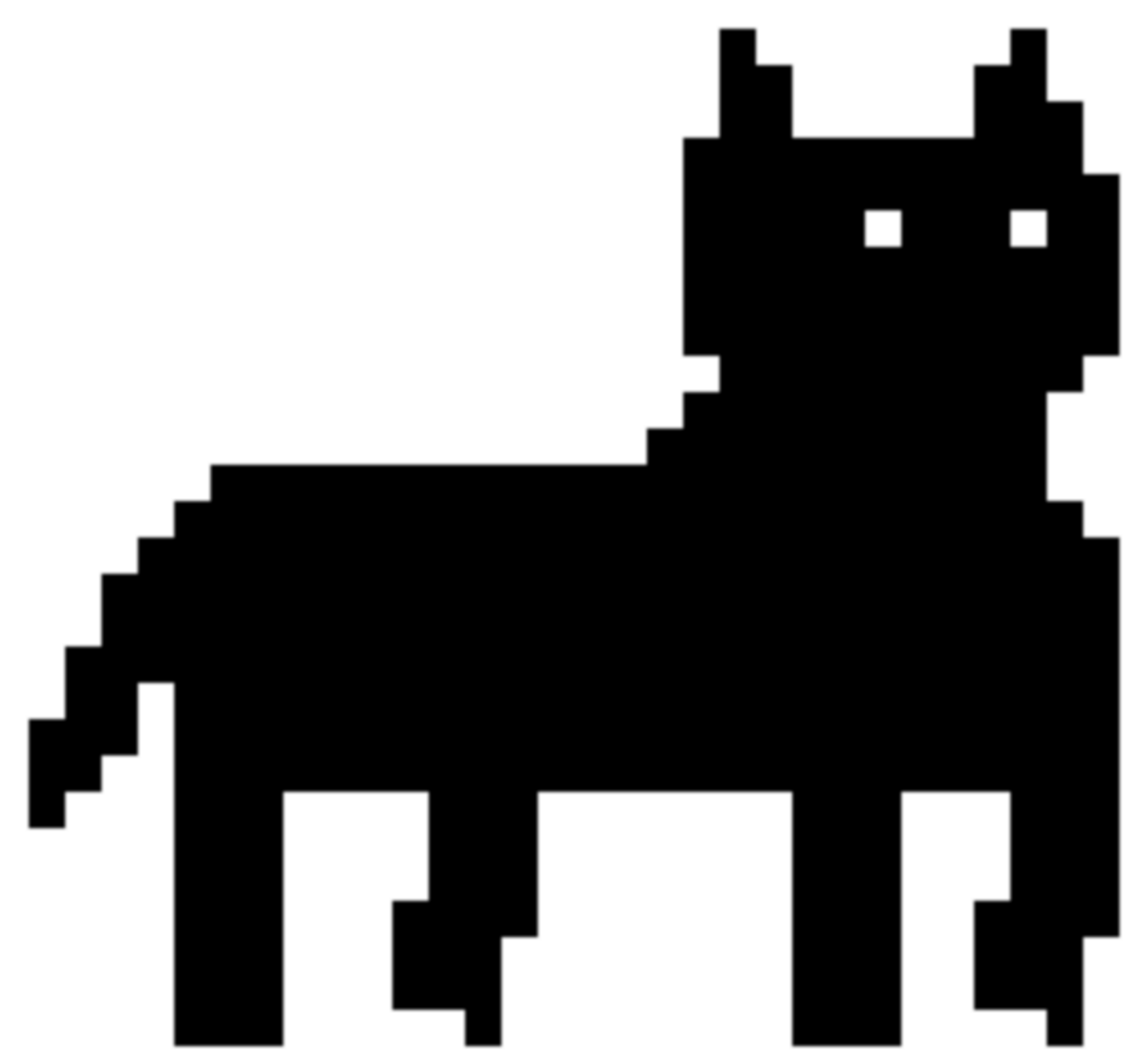 Midni the cat
